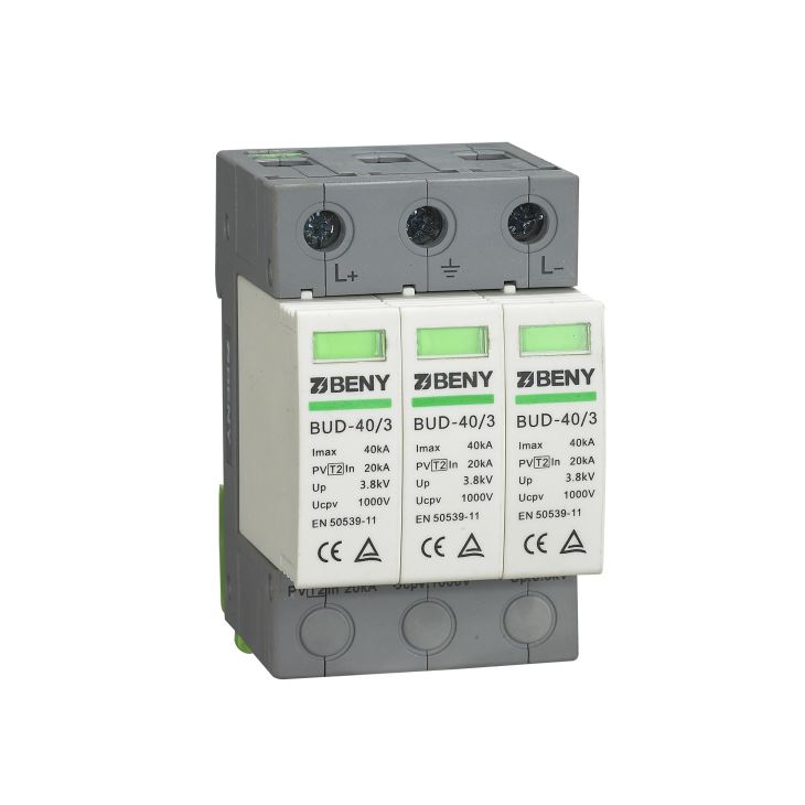 FotoSmall: ZJBENY_BUD_40_3